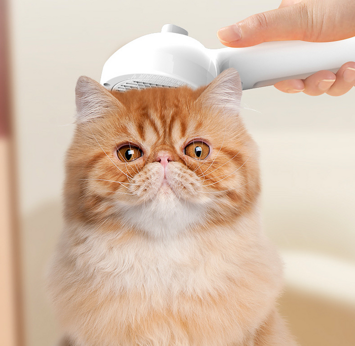 Kamm Pet Haar Entfernung Spray