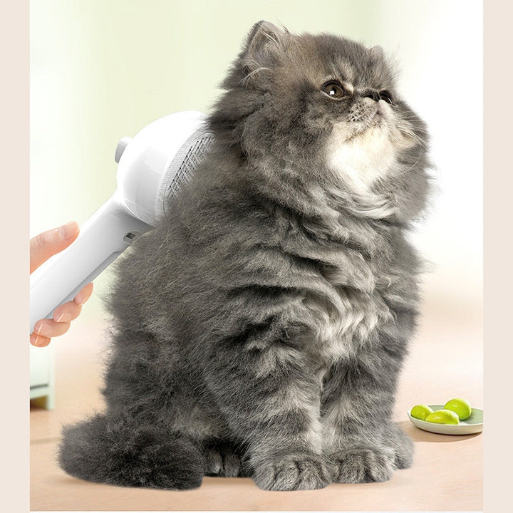 Kamm Pet Haar Entfernung Spray