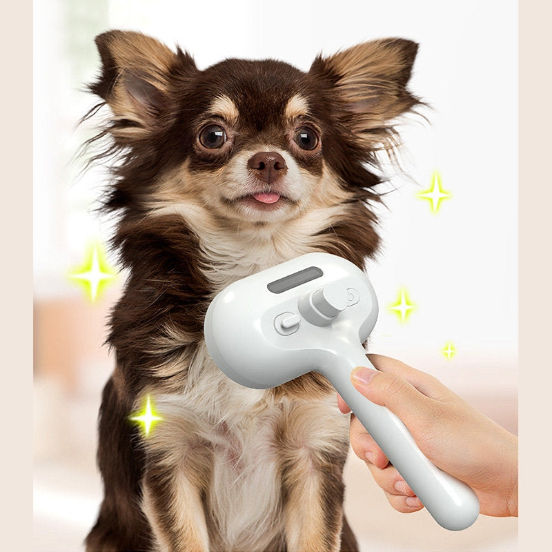 Kamm Pet Haar Entfernung Spray